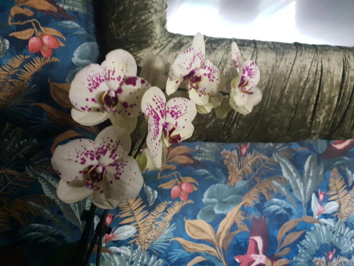 Jasmine Coral Jay Boutique Boatel Ocean Village Gibraltar Zewnętrze zdjęcie