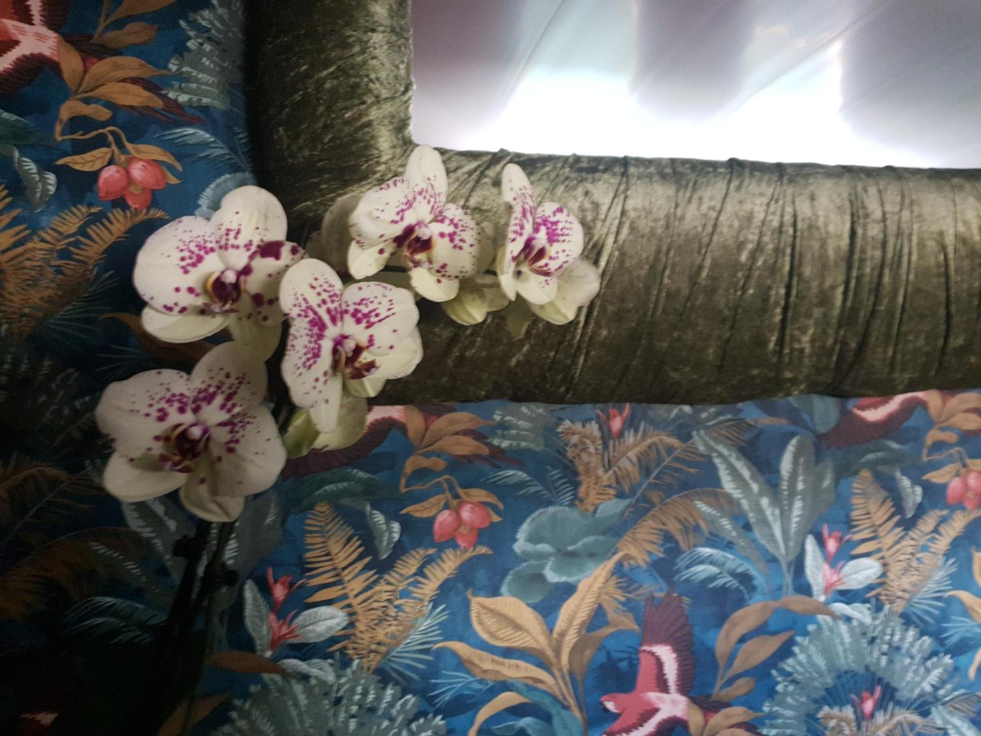 Jasmine Coral Jay Boutique Boatel Ocean Village Gibraltar Pokój zdjęcie