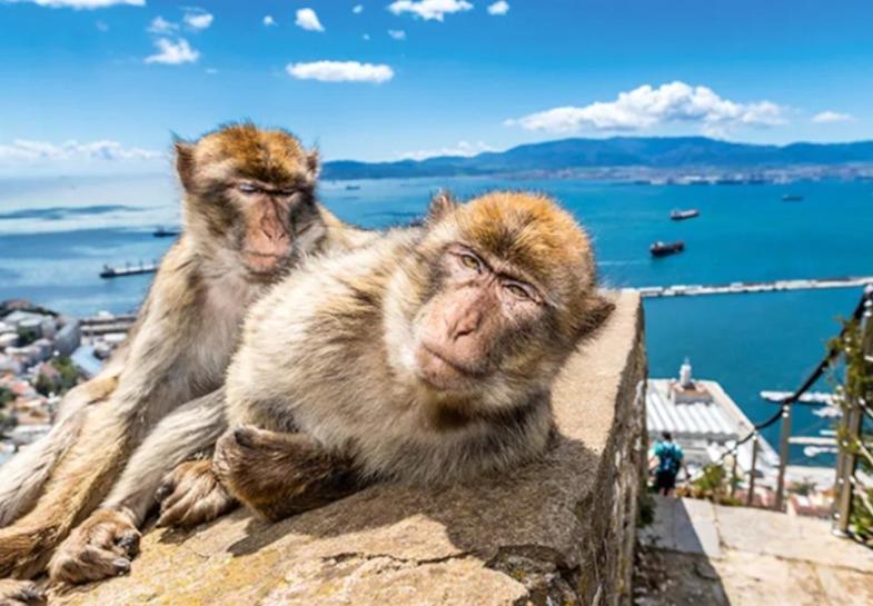 Jasmine Coral Jay Boutique Boatel Ocean Village Gibraltar Zewnętrze zdjęcie